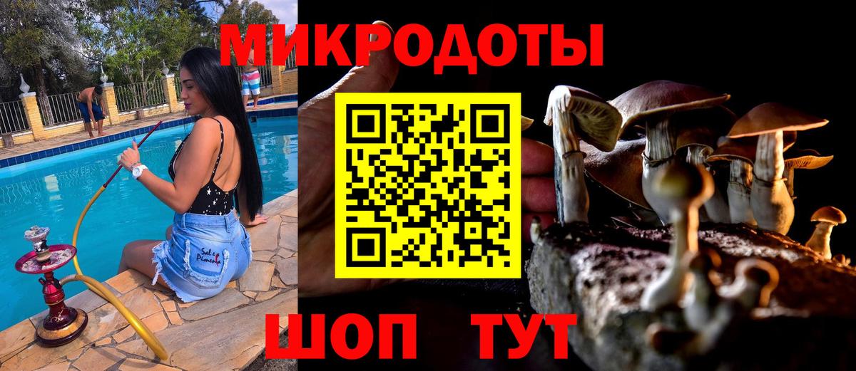 Псилоцибиновые грибы Cubensis  Вход с VPN  Пенза 